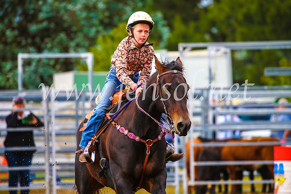 BraidwoodRodeo2017_1153