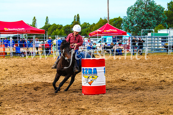 BraidwoodRodeo2017_1197