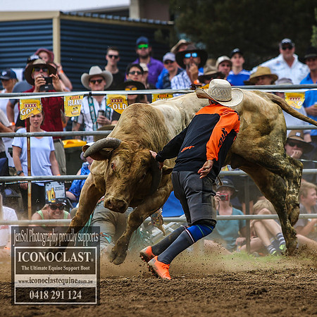 JindabyneRodeo2018_1516