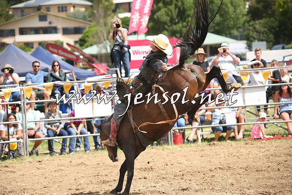 JindabyneRodeo2014_2139