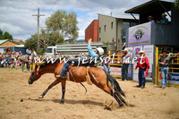 JindabyneRodeo2014_0409