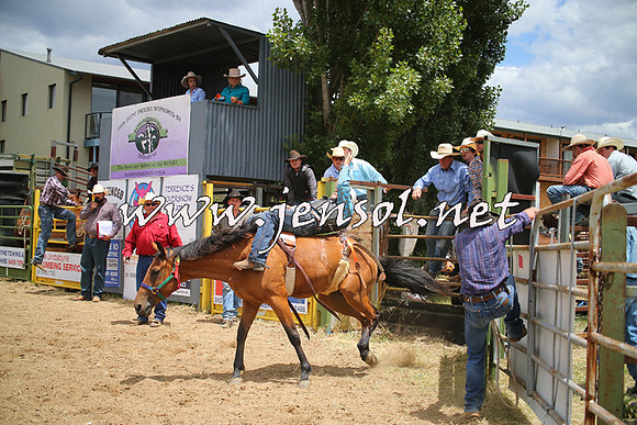 JindabyneRodeo2014_0408