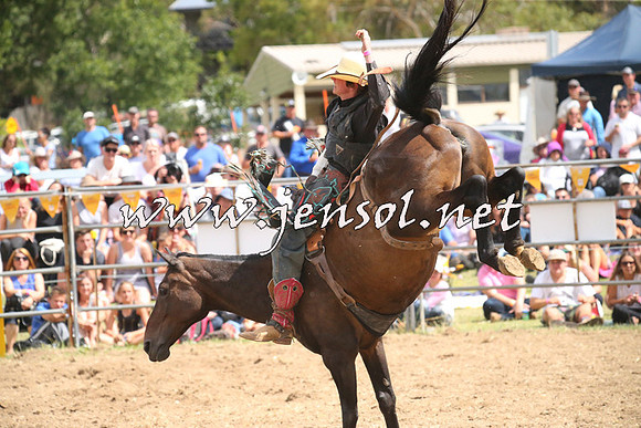 JindabyneRodeo2014_2129