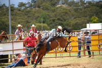 JindabyneRodeo2014_0423