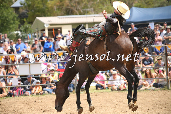 JindabyneRodeo2014_2116