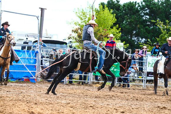 BraidwoodRodeo2017_2546