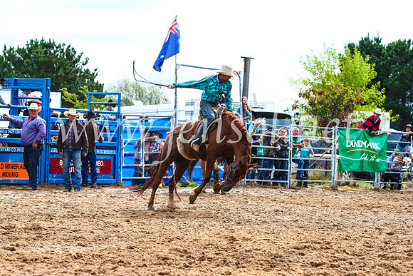 BraidwoodRodeo2017_2497