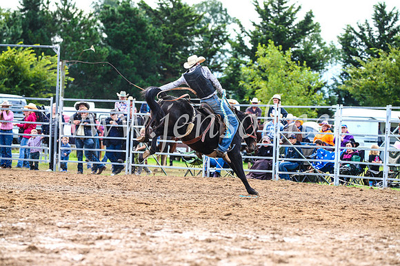 BraidwoodRodeo2017_2563