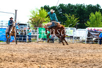 BraidwoodRodeo2017_2510