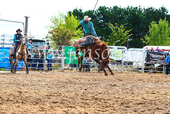 BraidwoodRodeo2017_2510