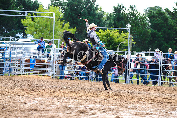 BraidwoodRodeo2017_2573