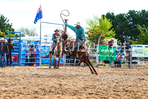 BraidwoodRodeo2017_2513