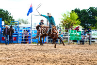 BraidwoodRodeo2017_2512