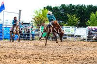 BraidwoodRodeo2017_2505