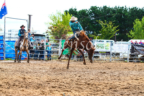 BraidwoodRodeo2017_2505