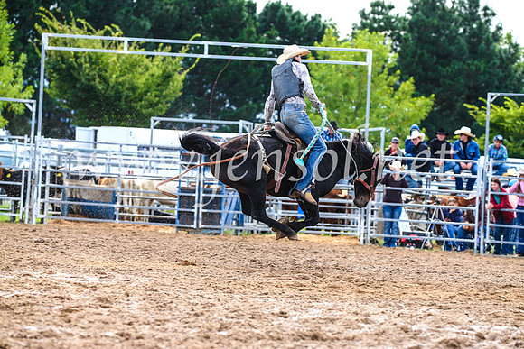 BraidwoodRodeo2017_2567