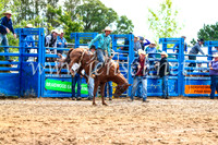 BraidwoodRodeo2017_2492