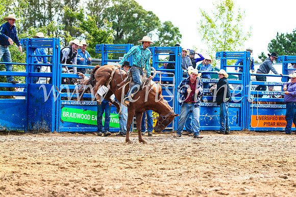 BraidwoodRodeo2017_2492