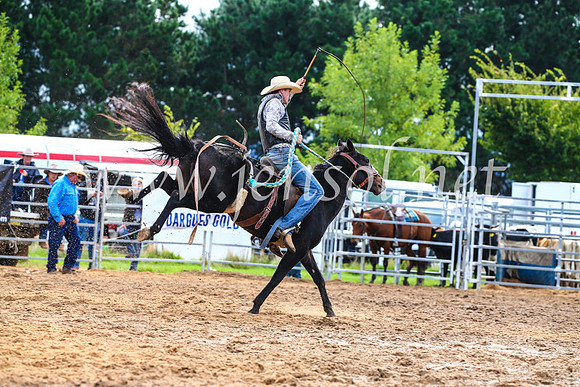 BraidwoodRodeo2017_2554