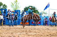 BraidwoodRodeo2017_2503