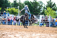 BraidwoodRodeo2017_2560