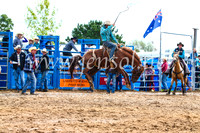 BraidwoodRodeo2017_2504