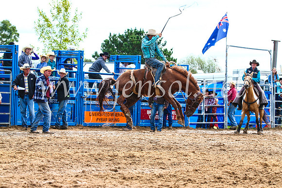 BraidwoodRodeo2017_2504