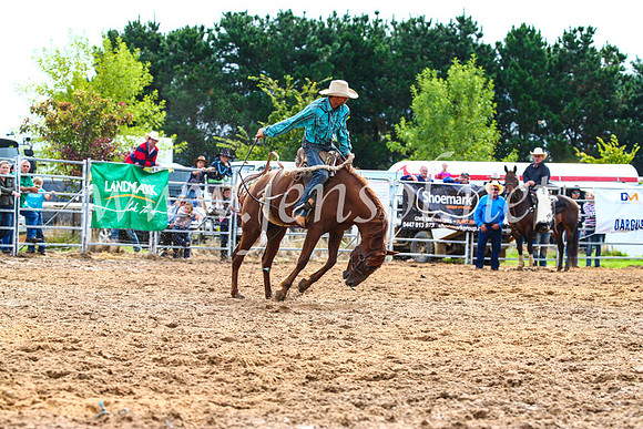 BraidwoodRodeo2017_2524