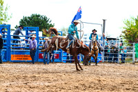 BraidwoodRodeo2017_2494