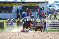 BungendoreRodeo2014_0641