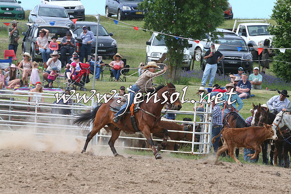 BungendoreRodeo2014_2458