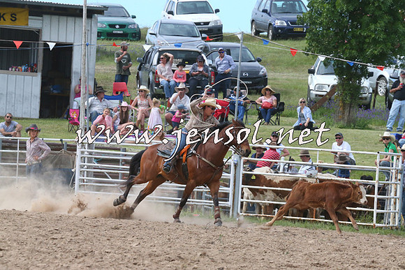 BungendoreRodeo2014_2456