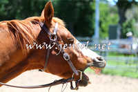 CoomaABHANov15Sat_0001