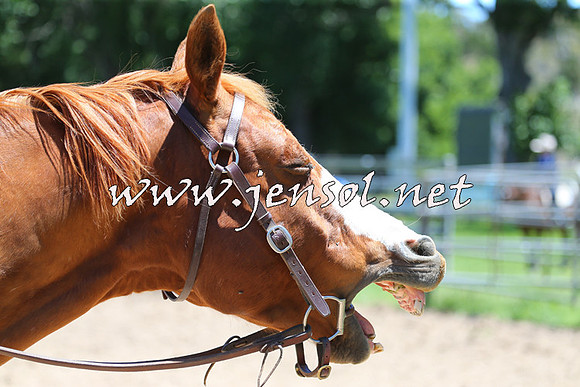 CoomaABHANov15Sat_0001