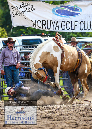 MoruyaRodeo2019_3660