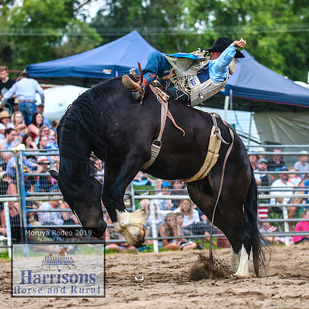 MoruyaRodeo2019_5785