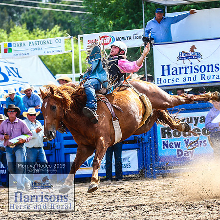 MoruyaRodeo2019_3583