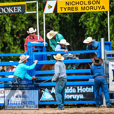 MoruyaRodeo2019_5714
