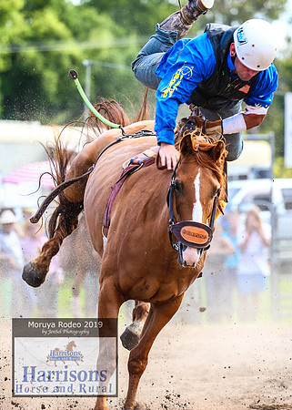 MoruyaRodeo2019_3490