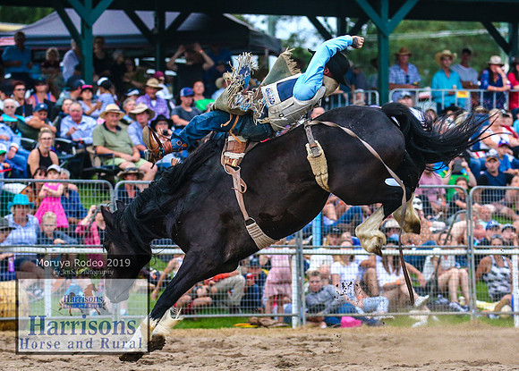 MoruyaRodeo2019_5802