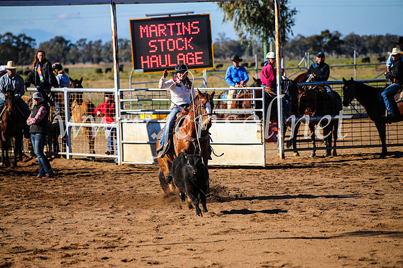 CoonambleRodeoCampdraftMon_6631