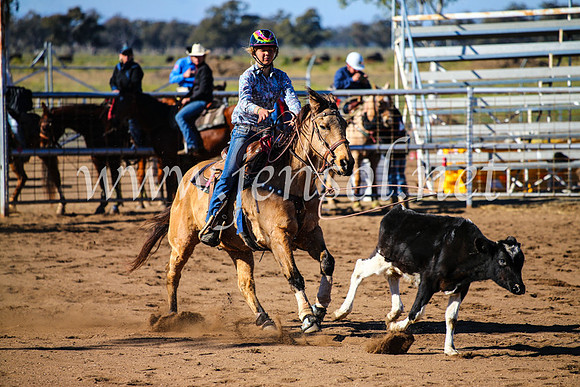 CoonambleRodeoCampdraftMon_6620