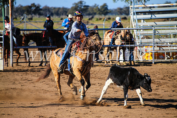 CoonambleRodeoCampdraftMon_6624