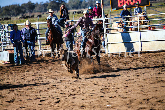 CoonambleRodeoCampdraftMon_6579