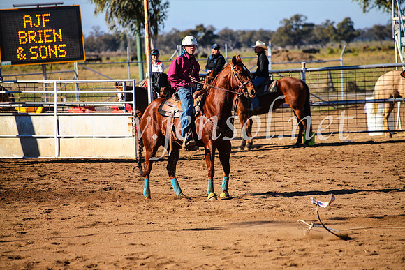 CoonambleRodeoCampdraftMon_6602