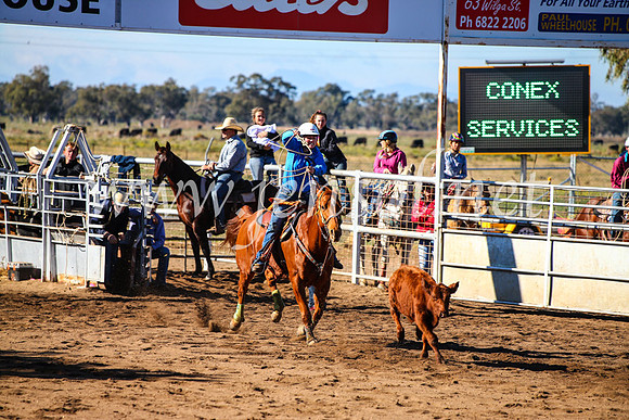 CoonambleRodeoCampdraftMon_6591