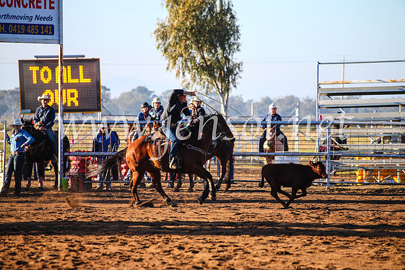 CoonambleRodeoCampdraftMon_6037