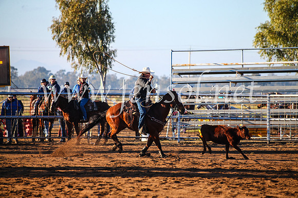 CoonambleRodeoCampdraftMon_6035