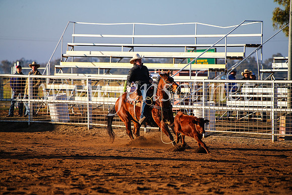 CoonambleRodeoCampdraftMon_6043
