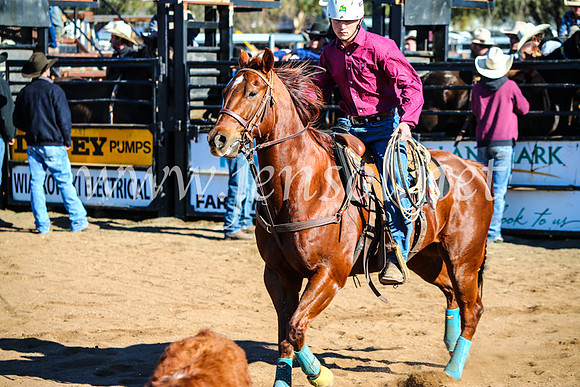 CoonambleRodeoCampdraftMon_6617